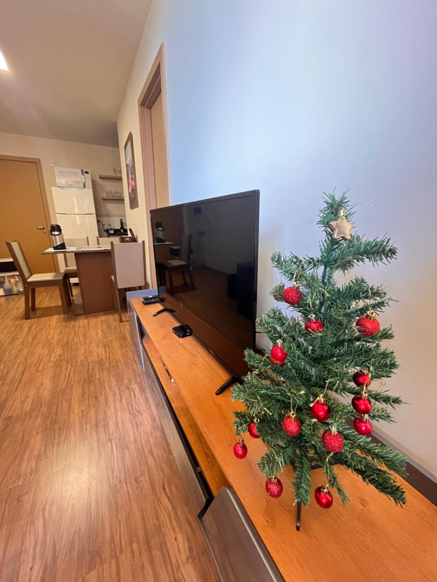 No Centro, Novo Com Garagem Apartment
